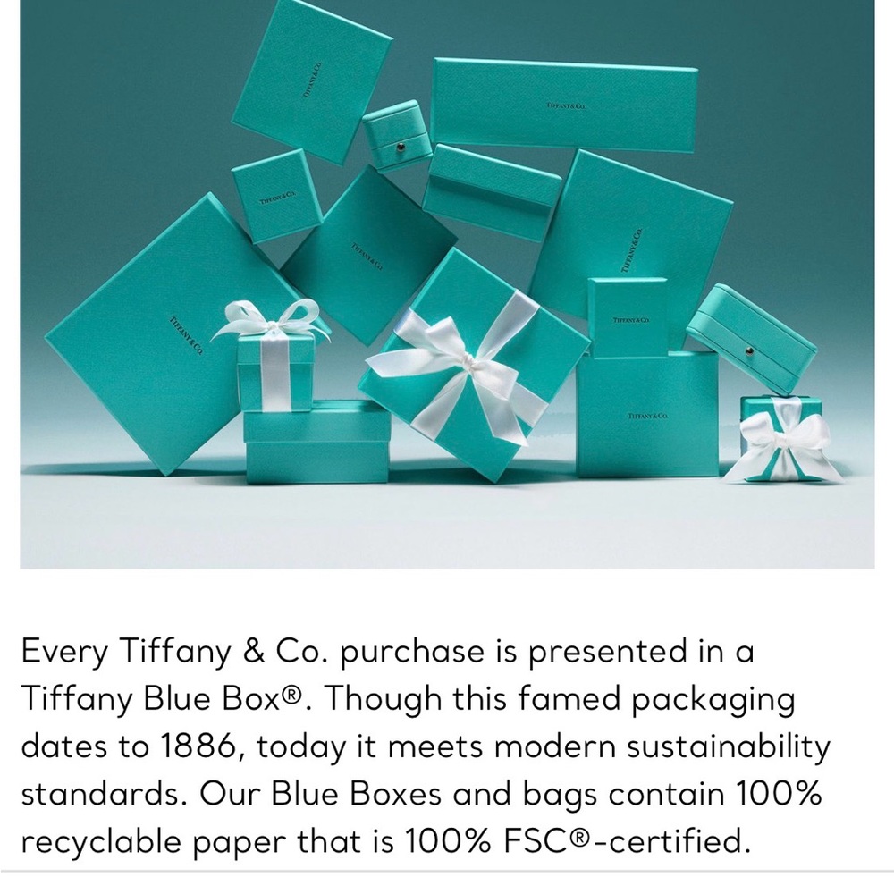 Tiffany & Co. necklace in Robin’s-egg Blue Jewelry Box with White Card